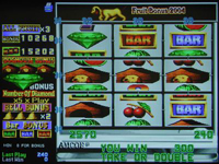 Fruit Bonus 2004