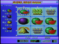 Super Fruit Bonus